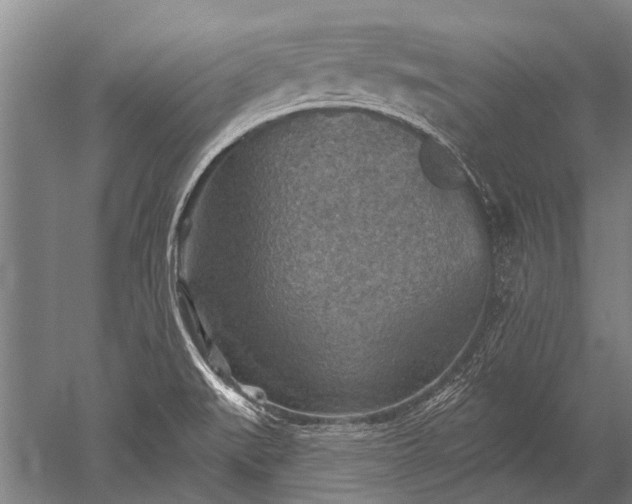 X0000052571519200507081648