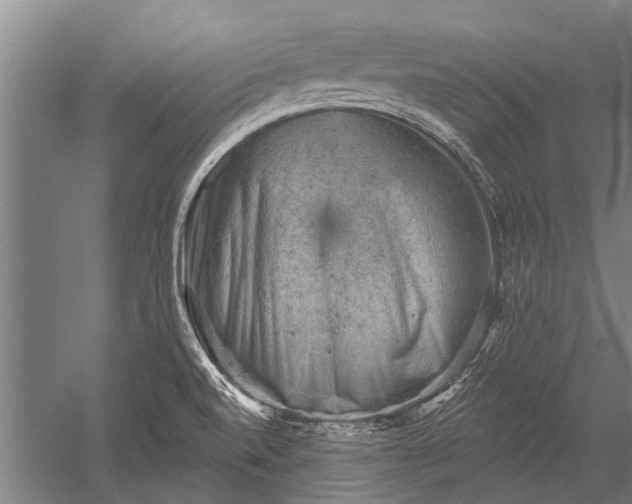 X0000052571520200507081648