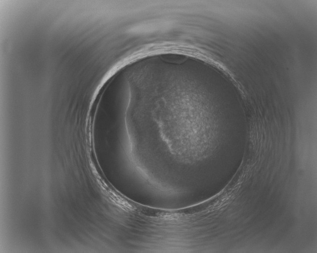 X0000052571522200507081648