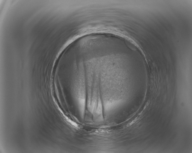 X0000052571525200507081648