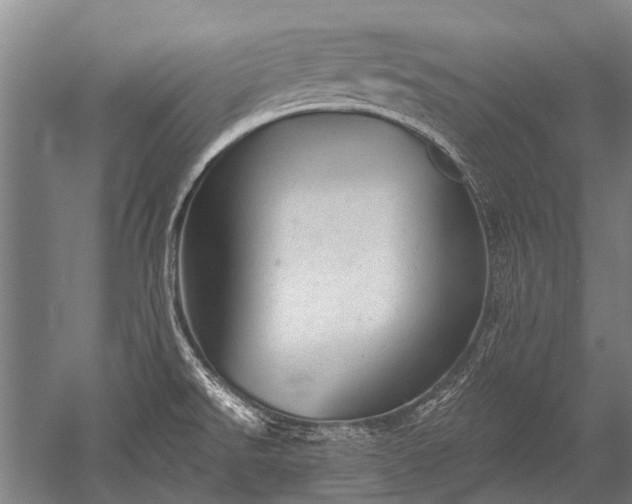 X0000052571526200507081648