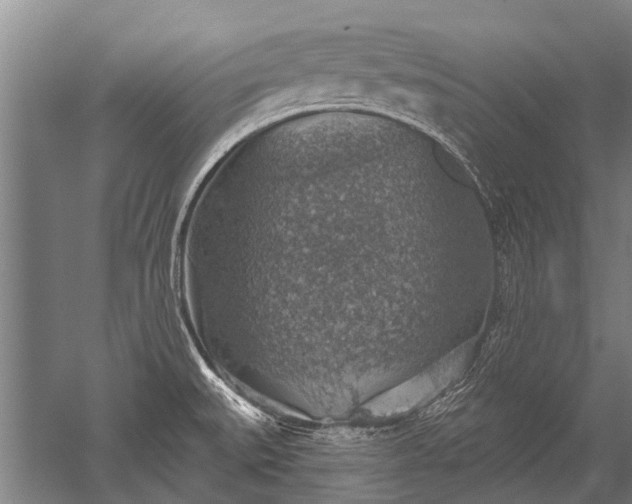 X0000052571527200507081648