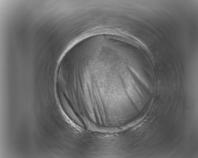X0000052571528200507081648