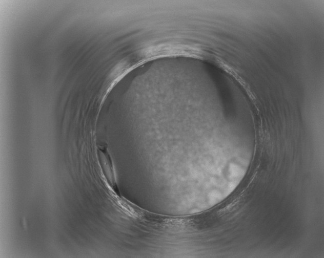 X0000052571529200507081648