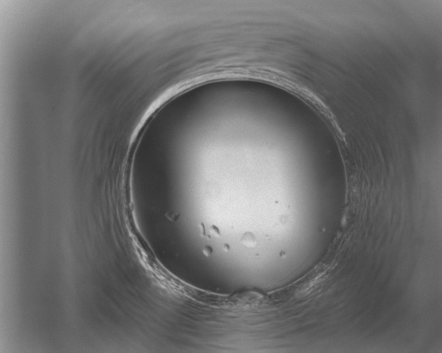 X0000052571530200507081648