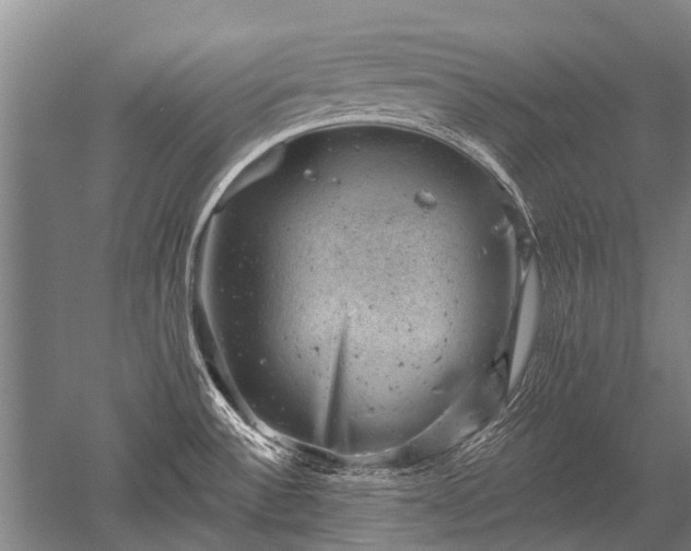 X0000052571532200507081648