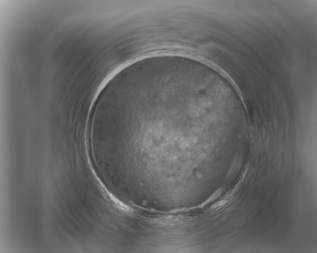 X0000052571533200507081648