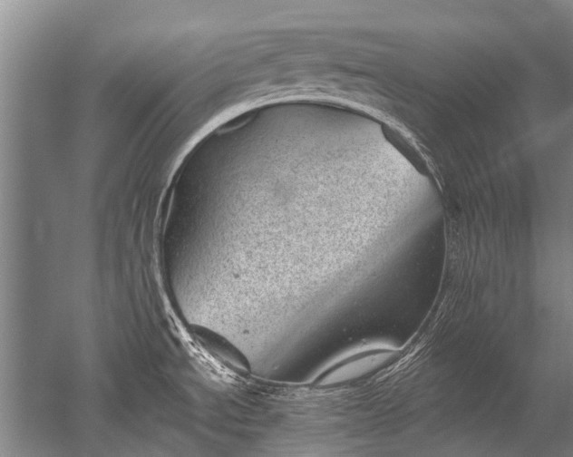 X0000052571534200507081648