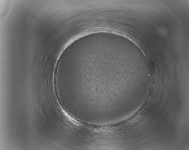 X0000052571535200507081648