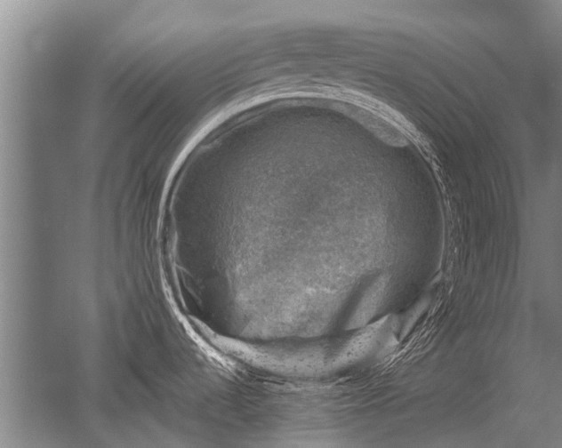 X0000052571536200507081648