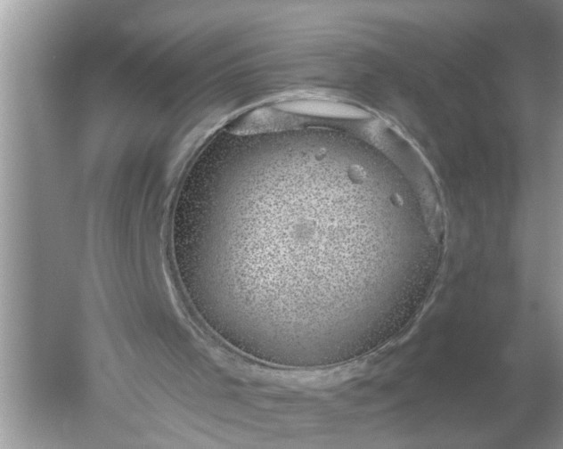 X0000052570001200507152304