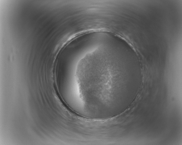 X0000052570002200507152304