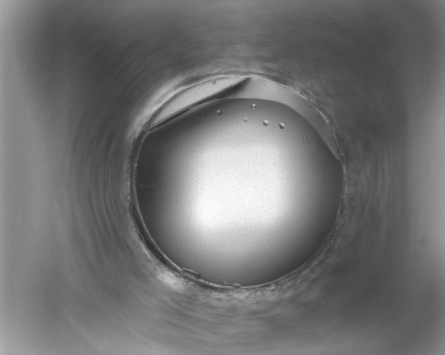 X0000052570005200507152304