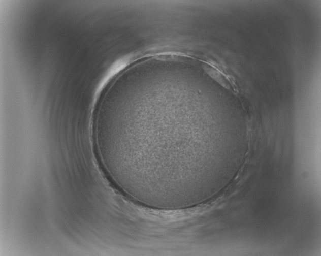 X0000052570006200507152304