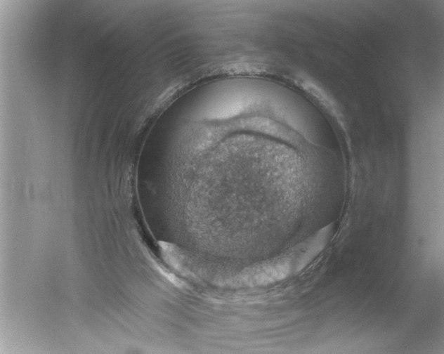 X0000052570009200507152304