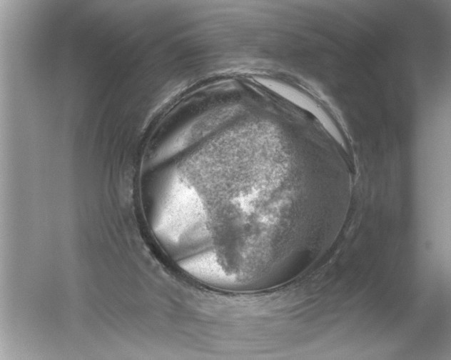 X0000052570010200507152304