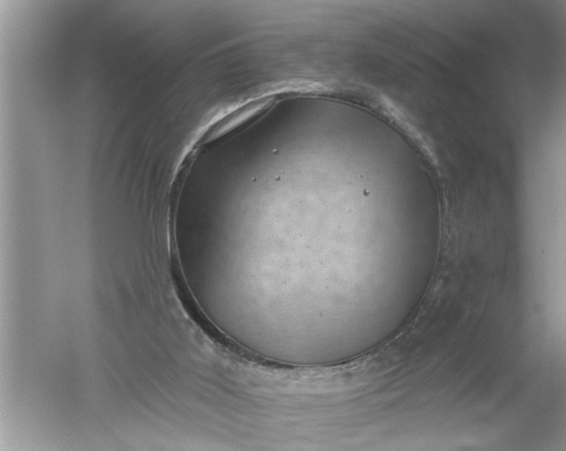 X0000052570011200507152304