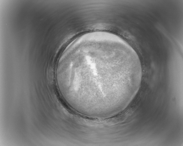 X0000052570012200507152304