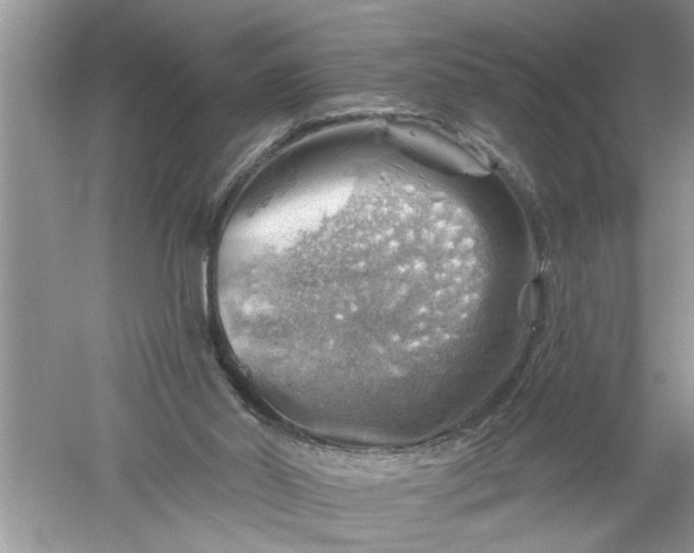 X0000052570014200507152304