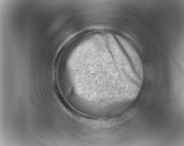 X0000052570016200507152304