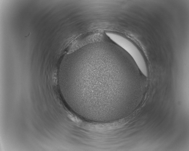 X0000052570017200507152304