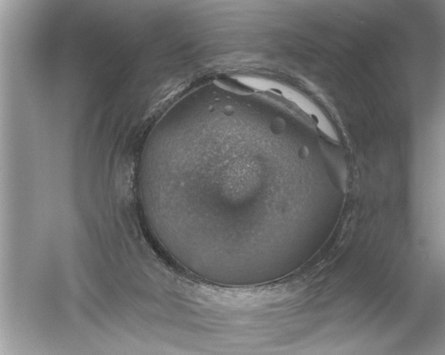 X0000052570018200507152304