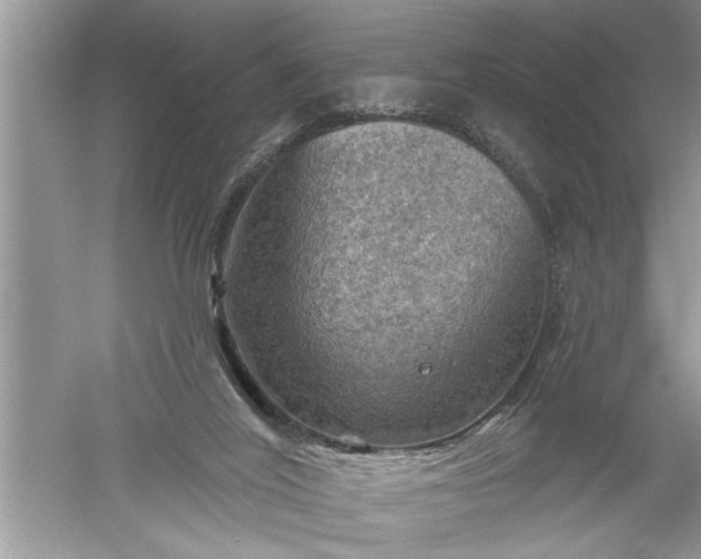 X0000052570020200507152304