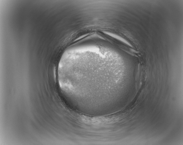 X0000052570022200507152304