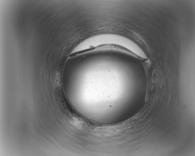 X0000052570025200507152304