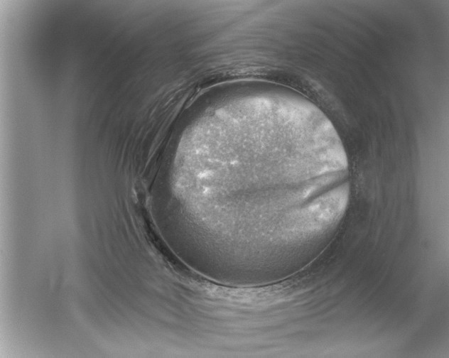 X0000052570026200507152304