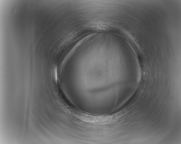 X0000052570027200507152304