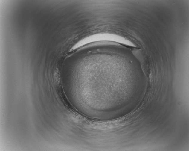 X0000052570029200507152304