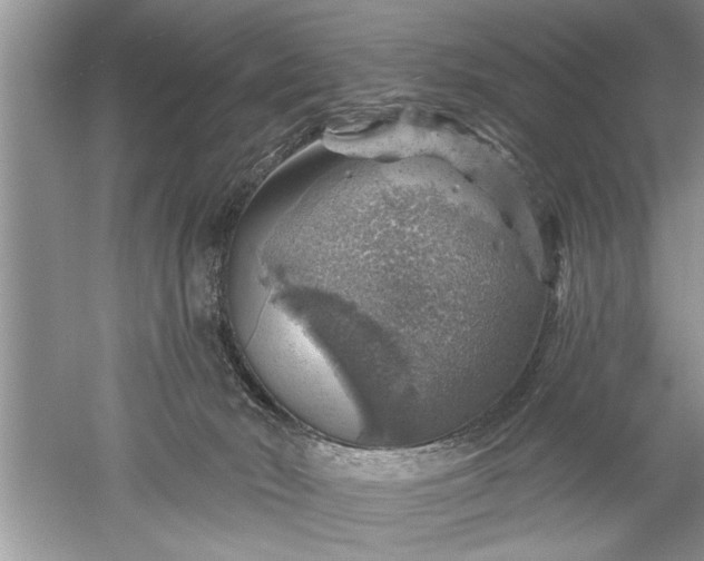 X0000052570030200507152304