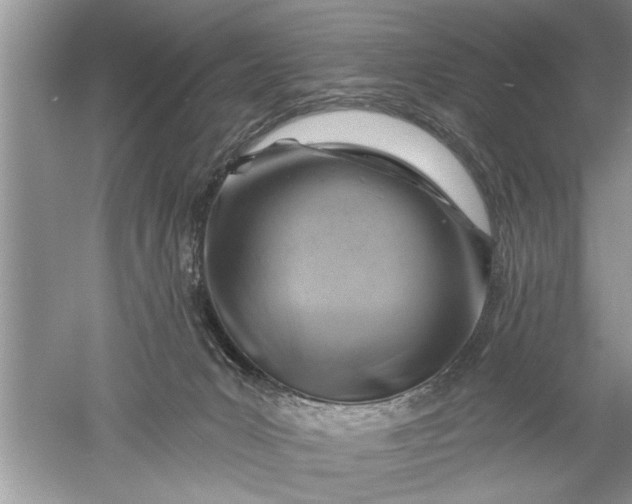 X0000052570031200507152304