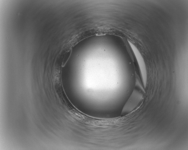 X0000052570033200507152304