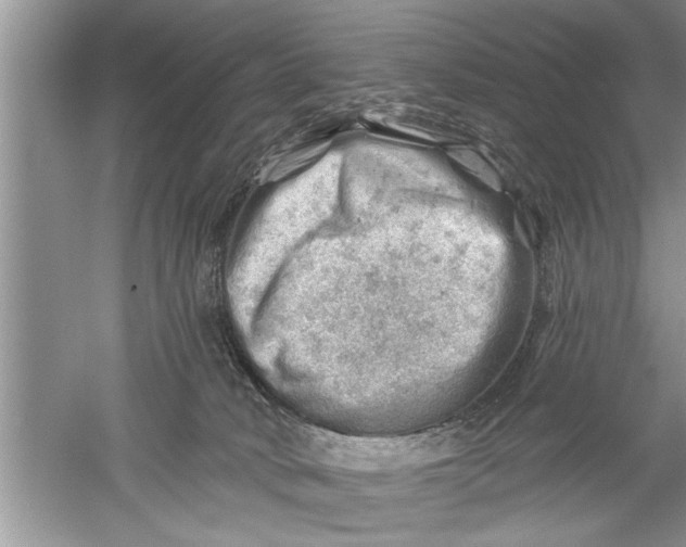 X0000052570034200507152304