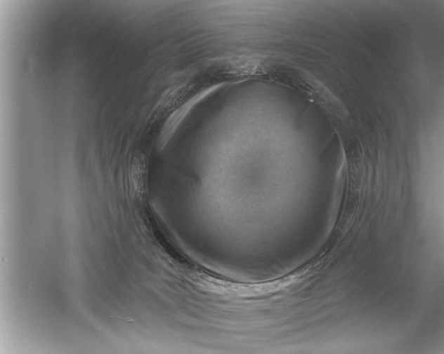 X0000052570035200507152304