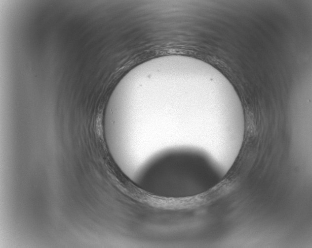 X0000052570036200507152304