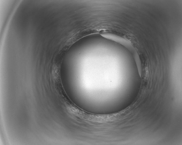 X0000052570037200507152304