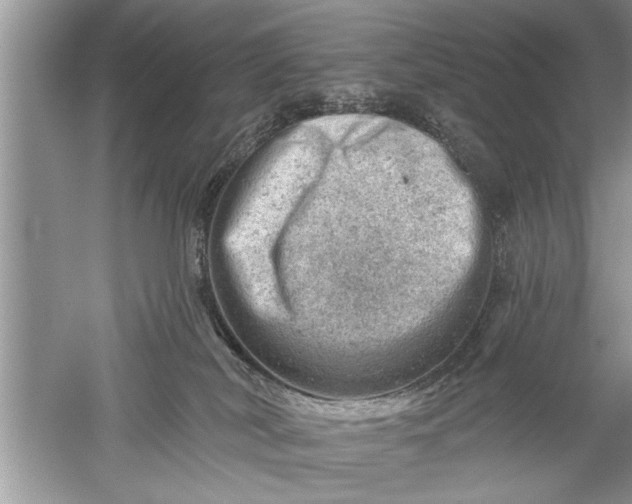 X0000052570038200507152304