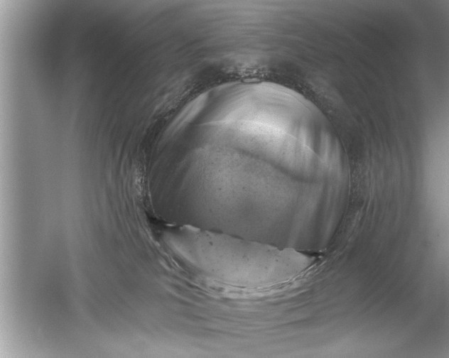 X0000052570039200507152304