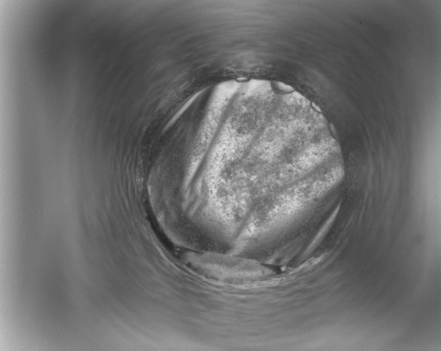 X0000052570040200507152304