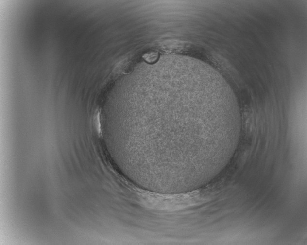 X0000052570042200507152304