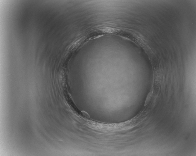 X0000052570043200507152303