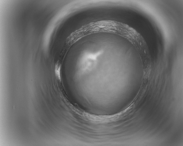 X0000052570047200507152303