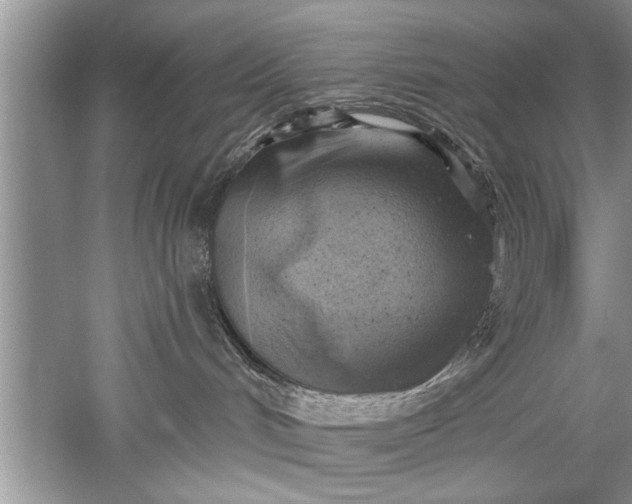 X0000052570048200507152303