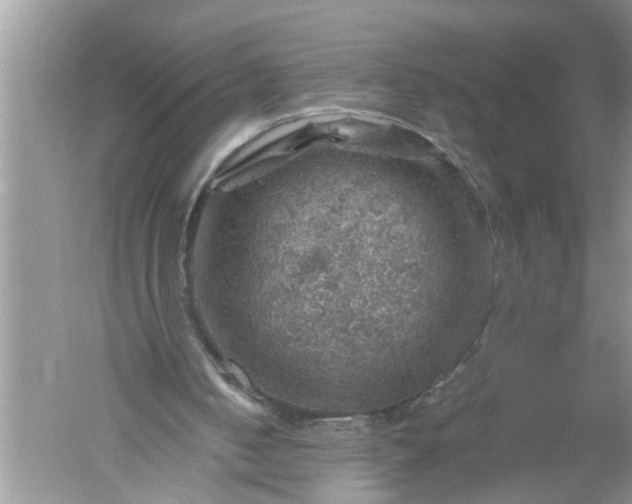 X0000052570050200507152303