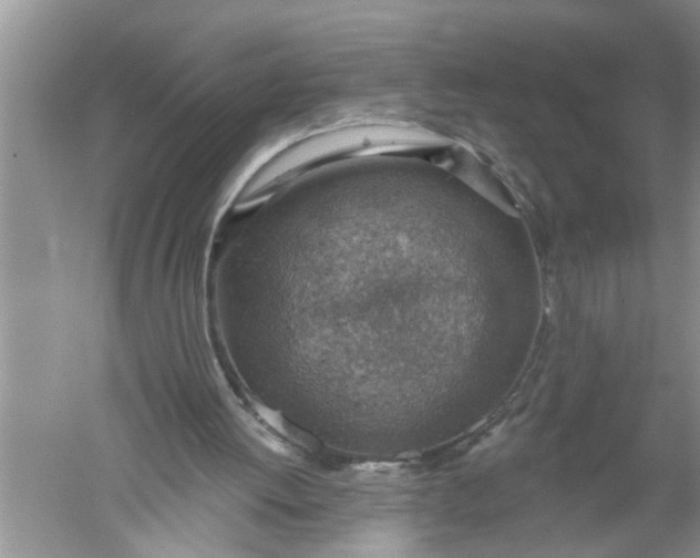 X0000052570052200507152303