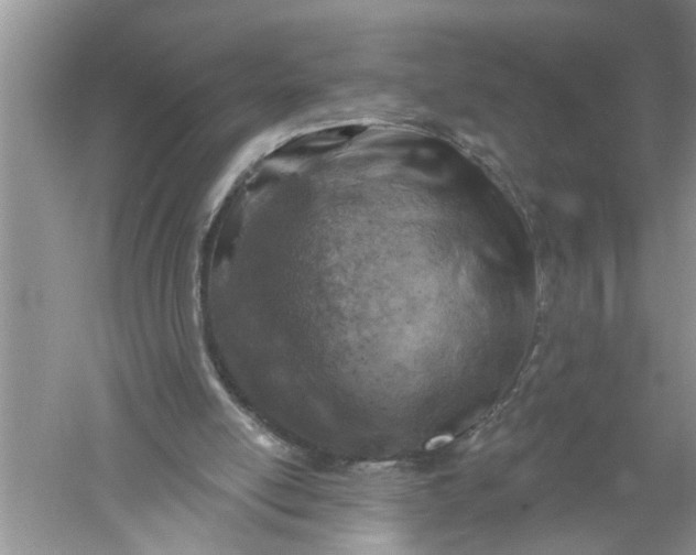 X0000052570054200507152303