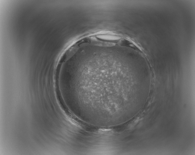 X0000052570055200507152303